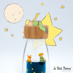 Bouteille sensorielle move petit prince