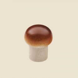Champignon