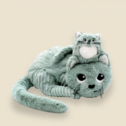 Miaou le chat et son bébé