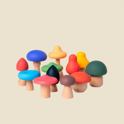 Champignons multicolores